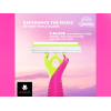 QUEEN TRIPLE BLADES PINK DISPOSABLE RAZORS 6 + 2 FREE